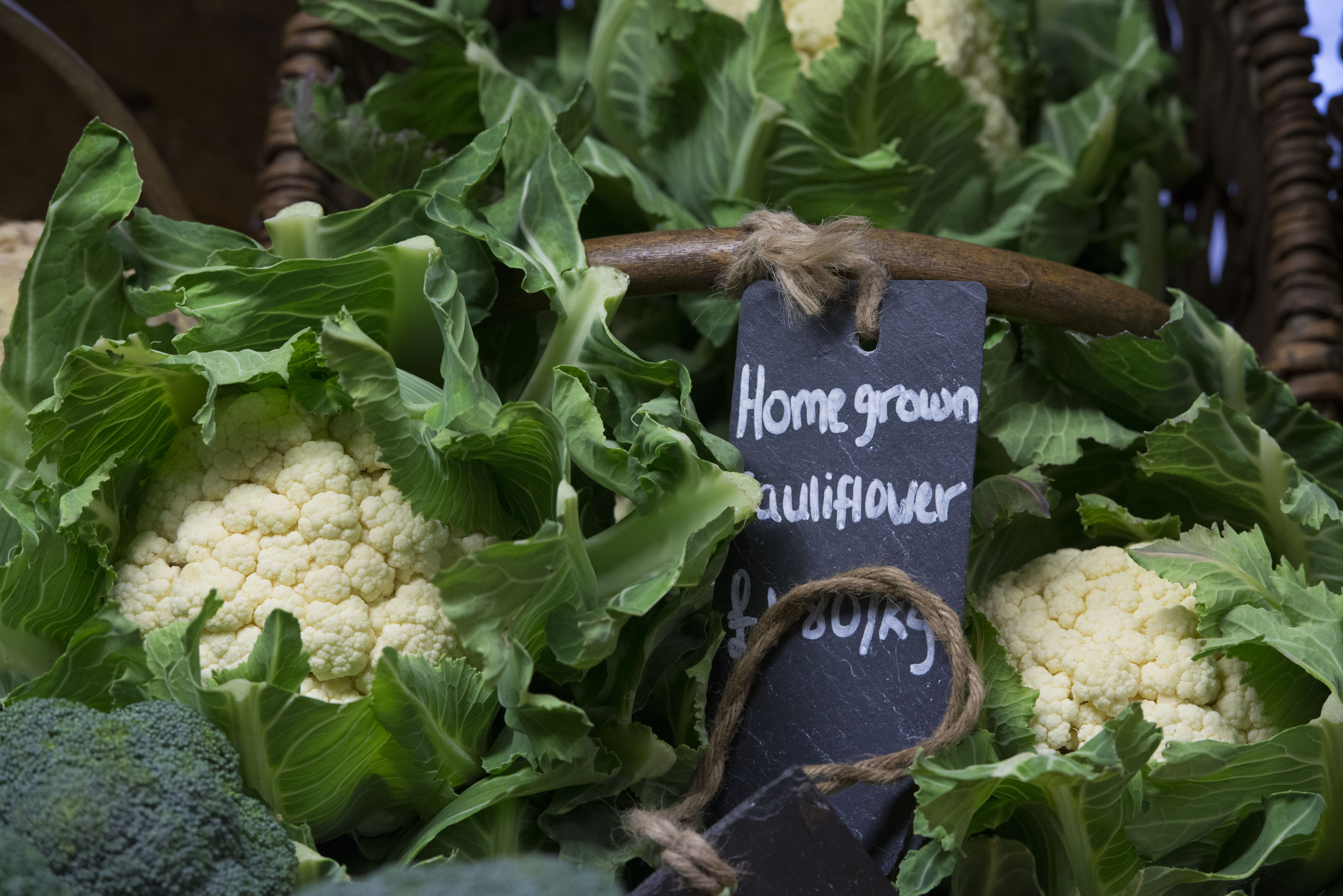 to Fife Fife food with a view