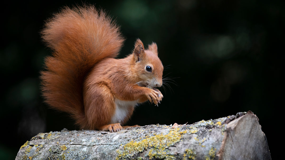 8 reasons to visit Fife this autumn 