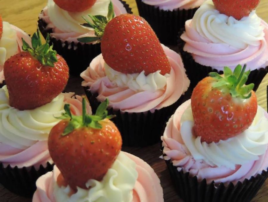 Cupcake Coffee Box 