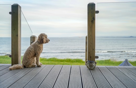 Catchpenny Safari Lodges