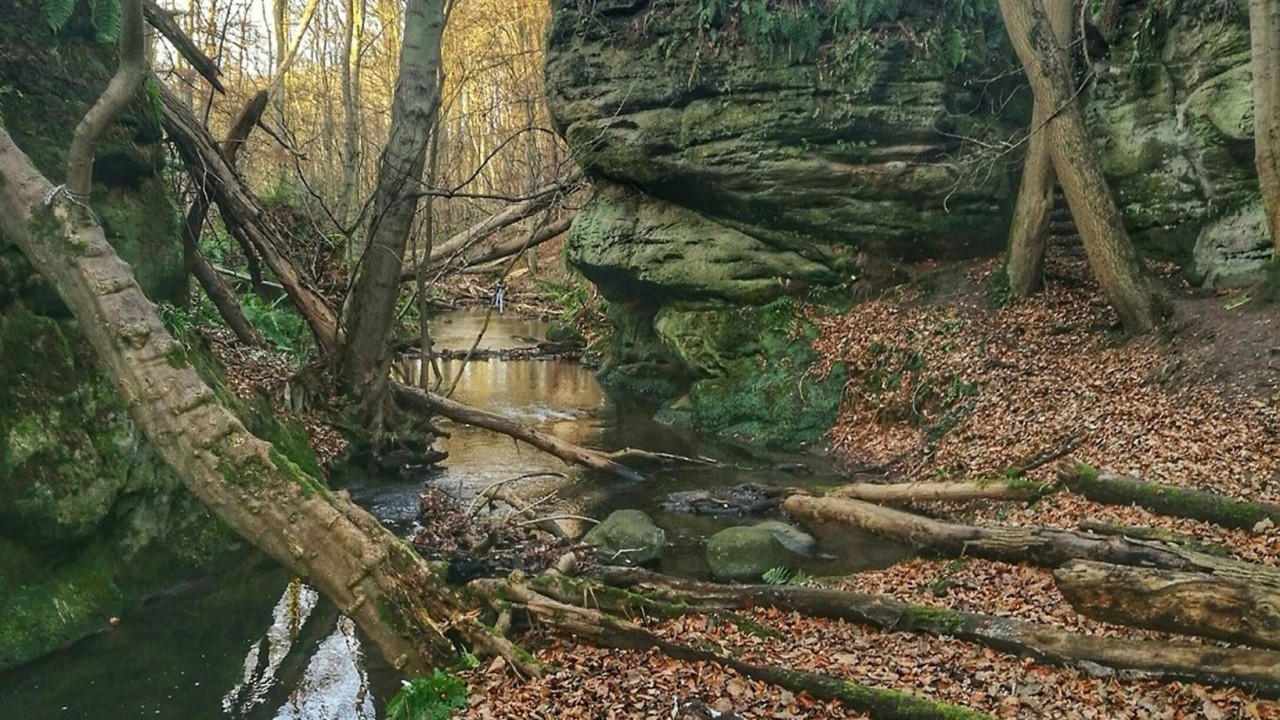 to Fife Dunino Den Scotland's Saga