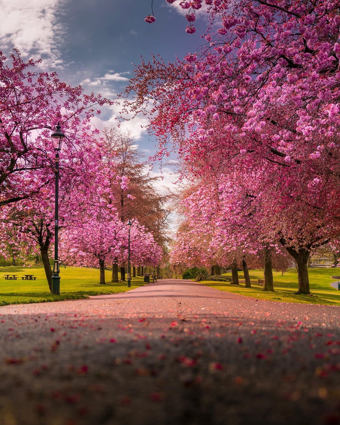 Image for Pittencrieff Park