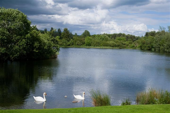 Image for Birnie & Gaddon Lochs