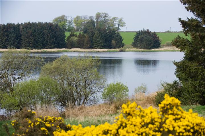 Image for Cameron Reservoir