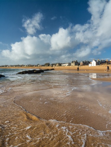 BEACHES