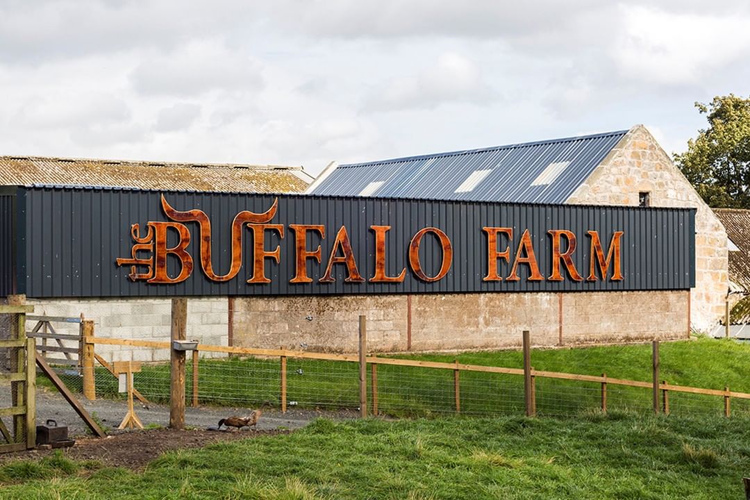 The Buffalo Farm 
