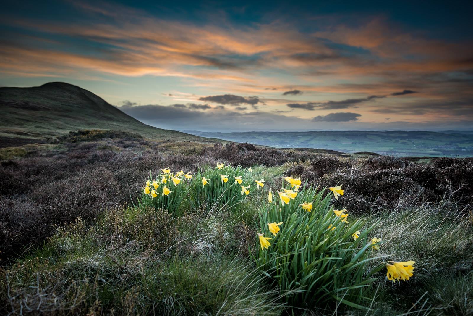 5 Spring walks to enjoy in Fife