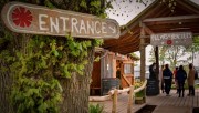 Vegan eateries in Fife