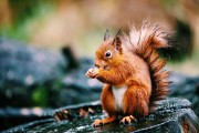 7 must visits in Fife this Autumn