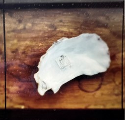 Surfacing : Creative Writing & Arts  