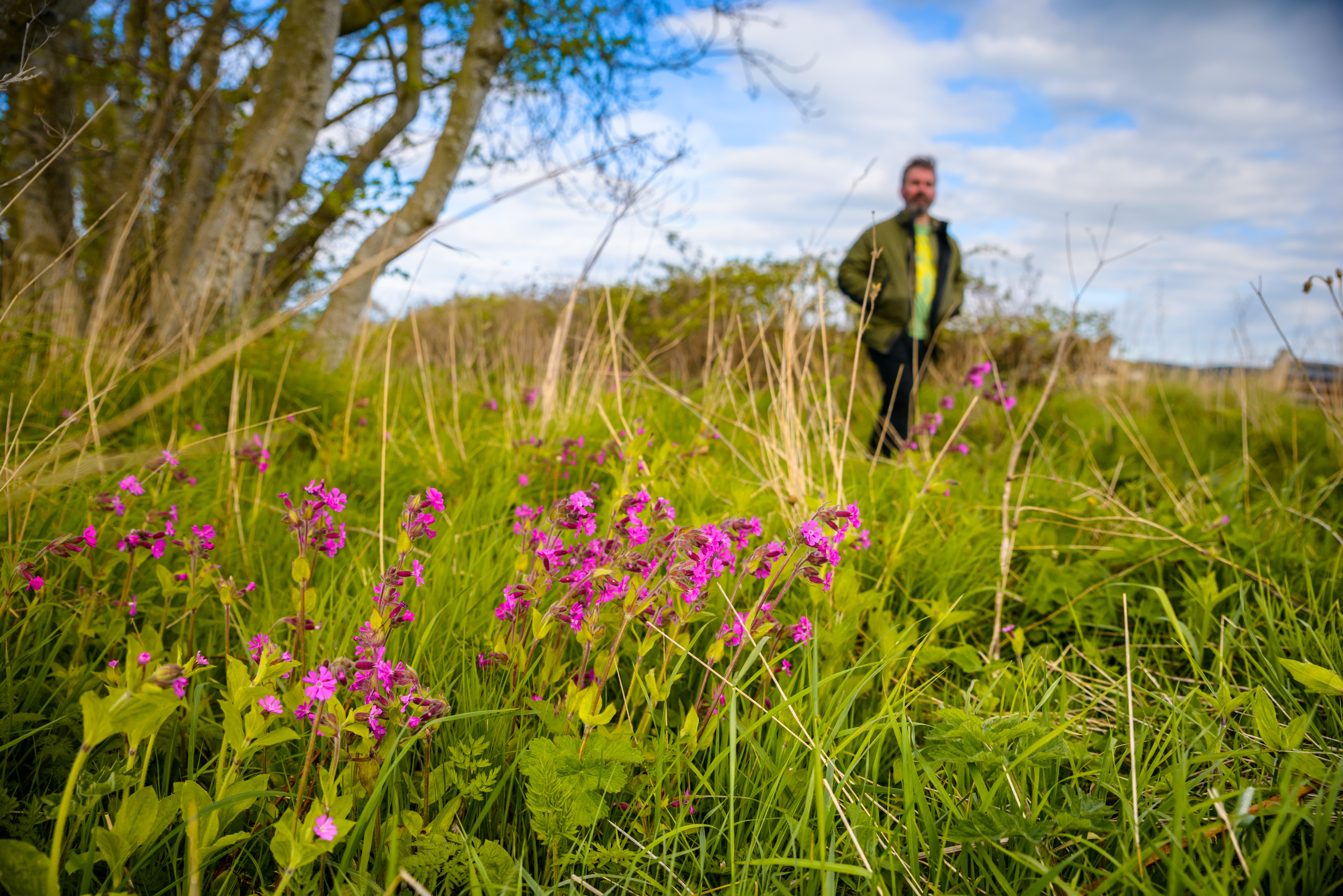 Craigencalt Trust Spring Walking Festival 