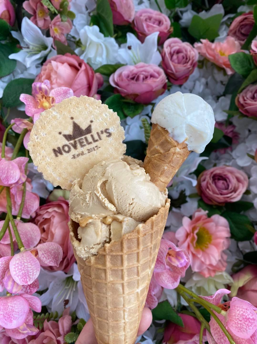 Image for Novelli's 