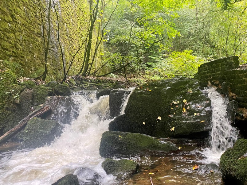 Quarry Park, Leslie, KY6 3EZ