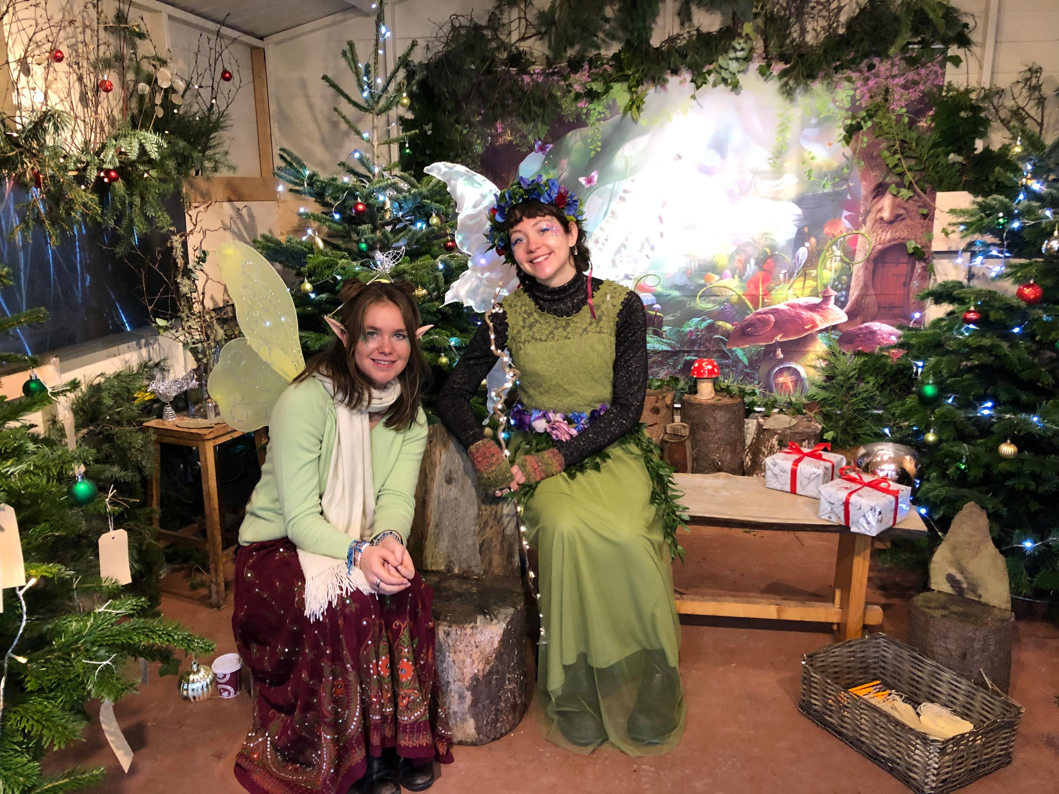 Festive Fairy