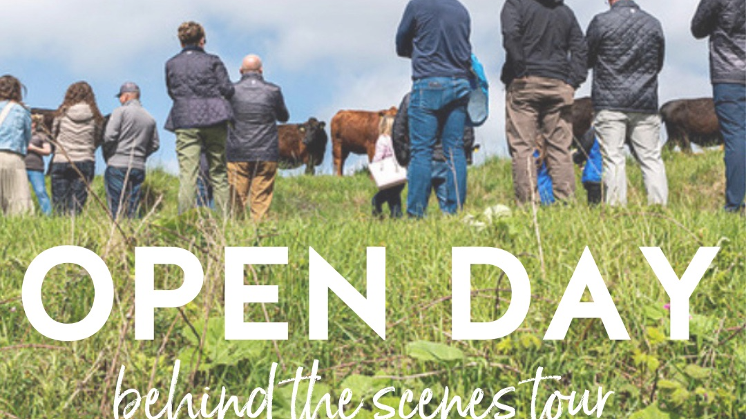 Spring Open Day 