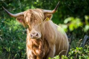 8 places to stay on a farm in Fife