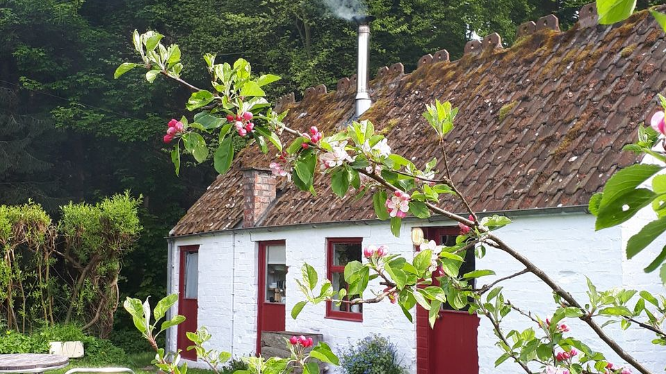 The Bothy- Pillars of Hercules Organic Farm