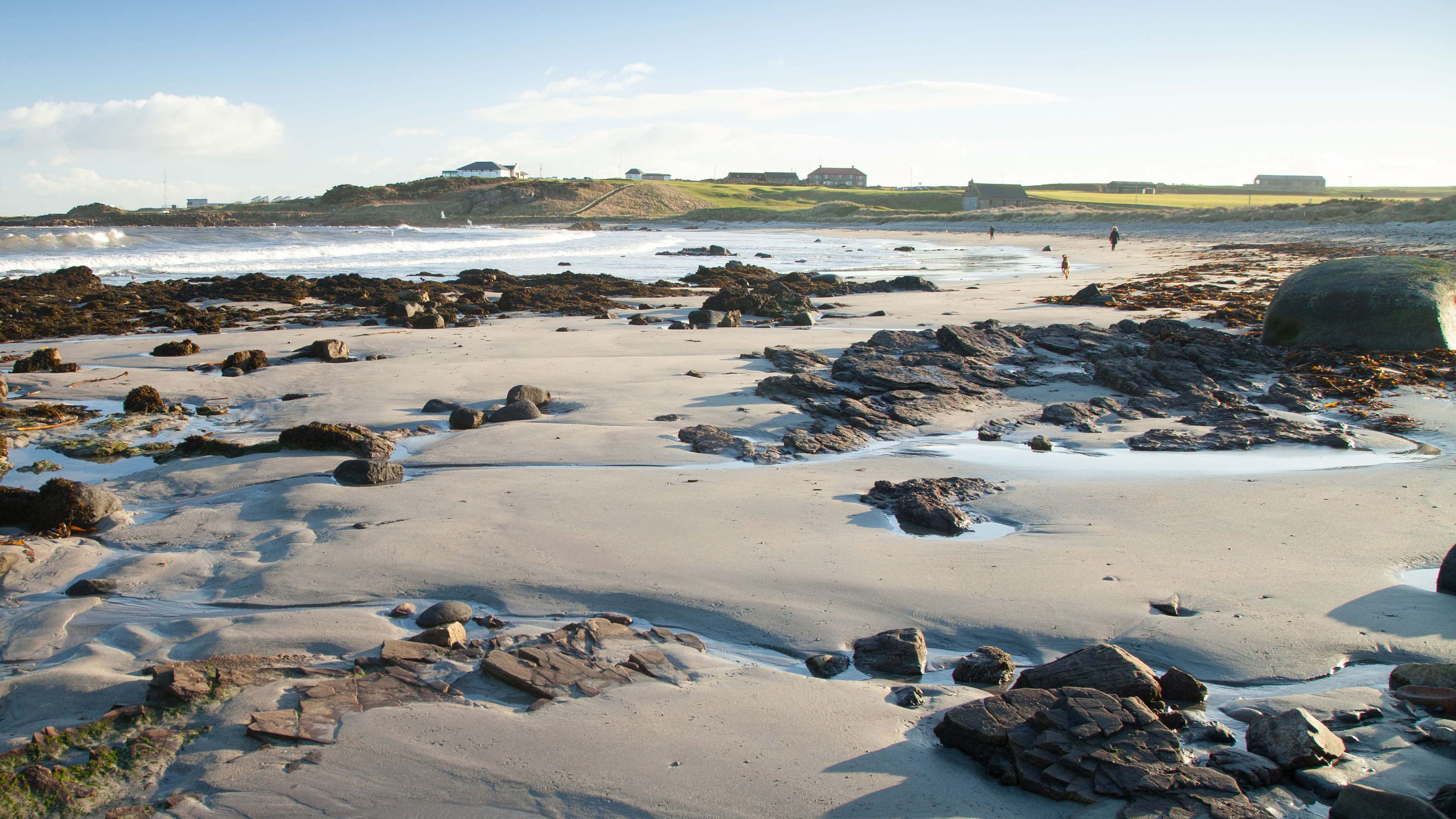 Crail to Cambo Guided Walk