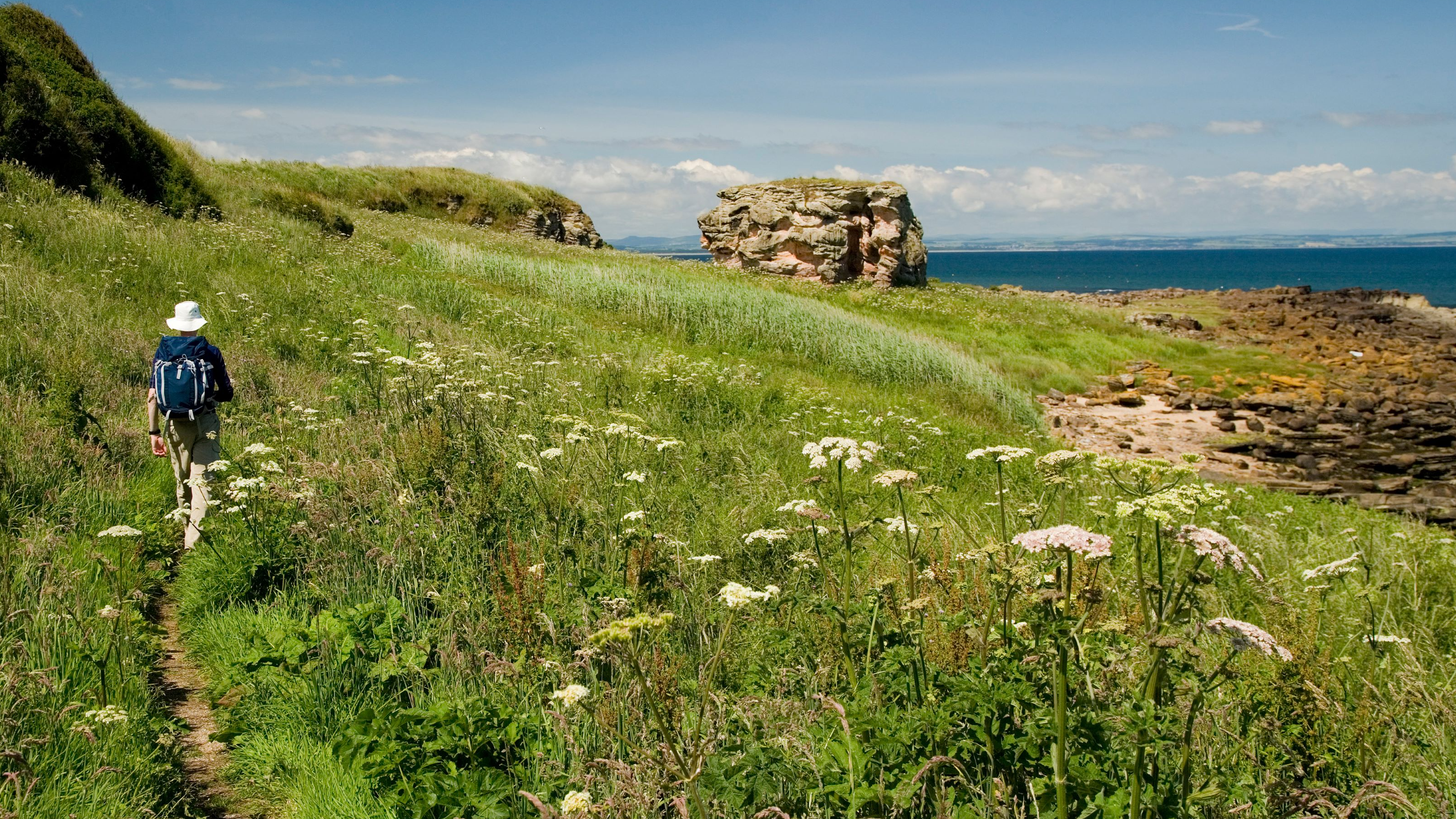Cambo to St Andrews Guided Walk