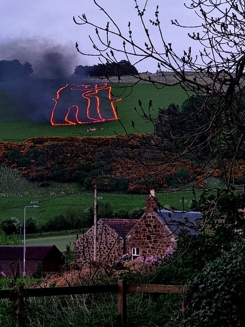 Bear Burning 2025