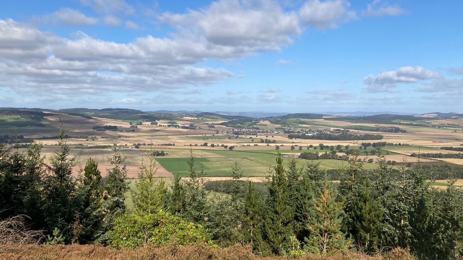 Spring into Summer Guided Walk