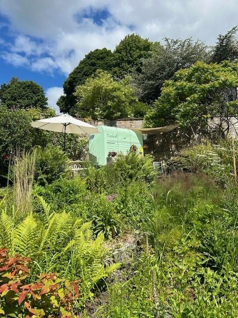 Image for Tealeaf Culross 