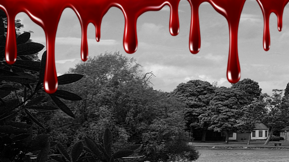 Murder in the Dark