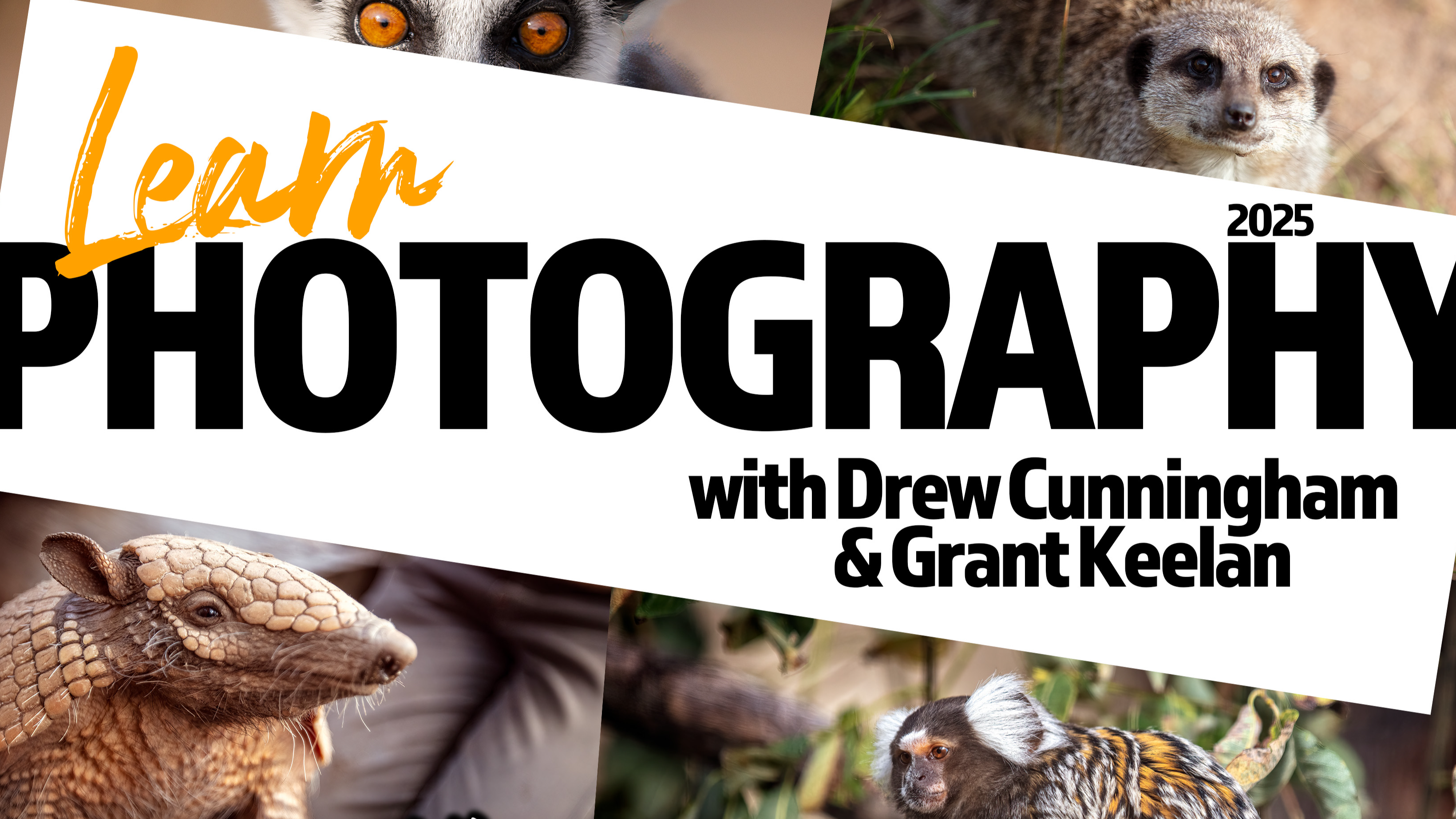 Learn Photography at Fife Zoo