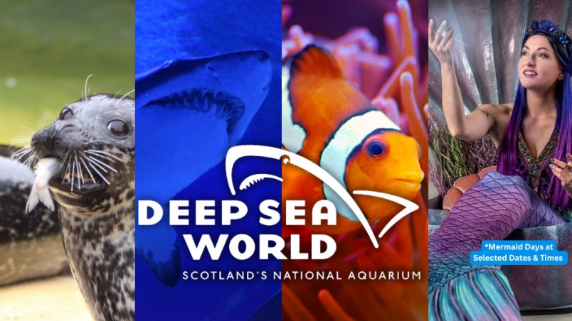 Deep Sea World