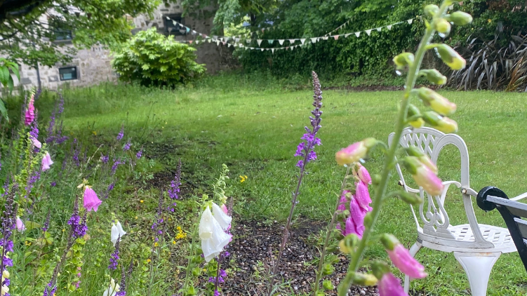 Contemplation Day at Adam Smith Garden