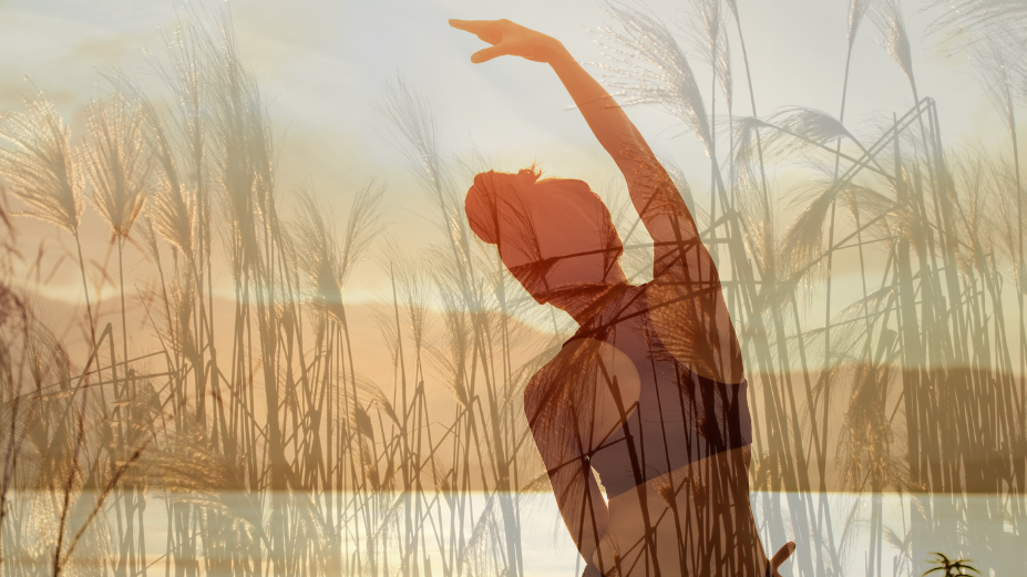 Mindful Yogic Reset