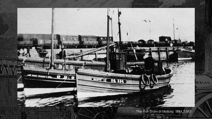 Steaming Ahead : How the Railways Changed the Fish we Eat