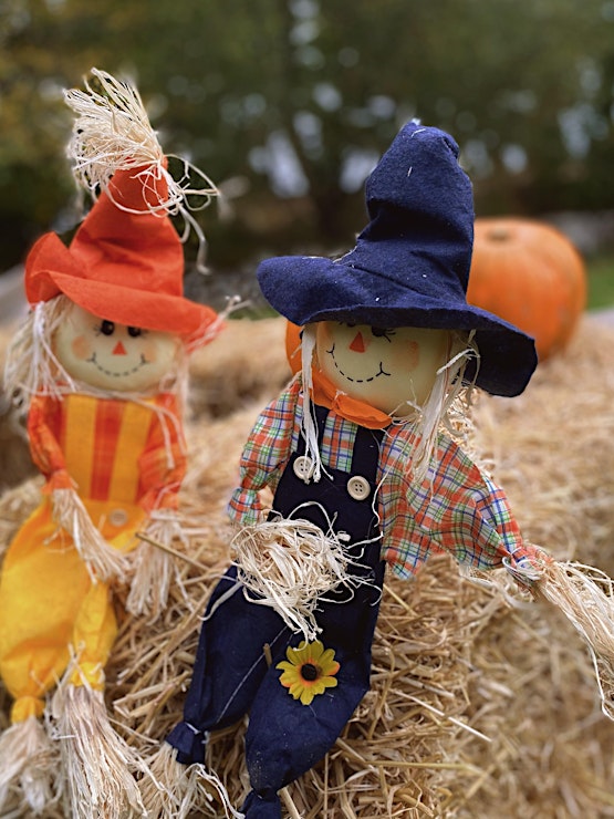 Falkland Palace's Halloween Trail