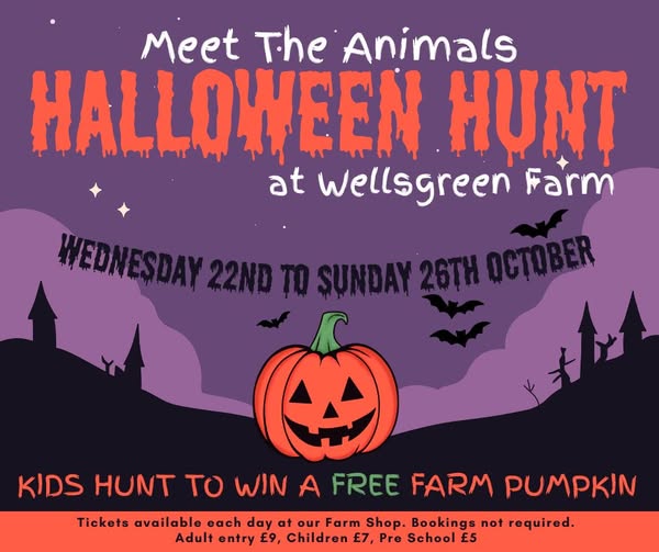 Meet the animals Halloween Hunt