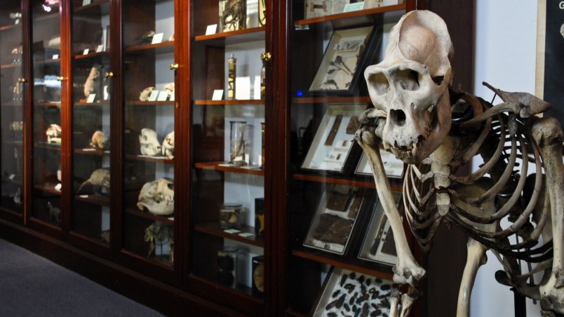 St Andrews Bowling Club