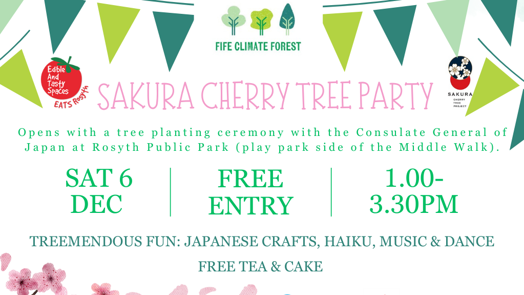 Sakura Cherry Tree Party in Rosyth