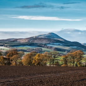 Falkland Hill on a wintry day