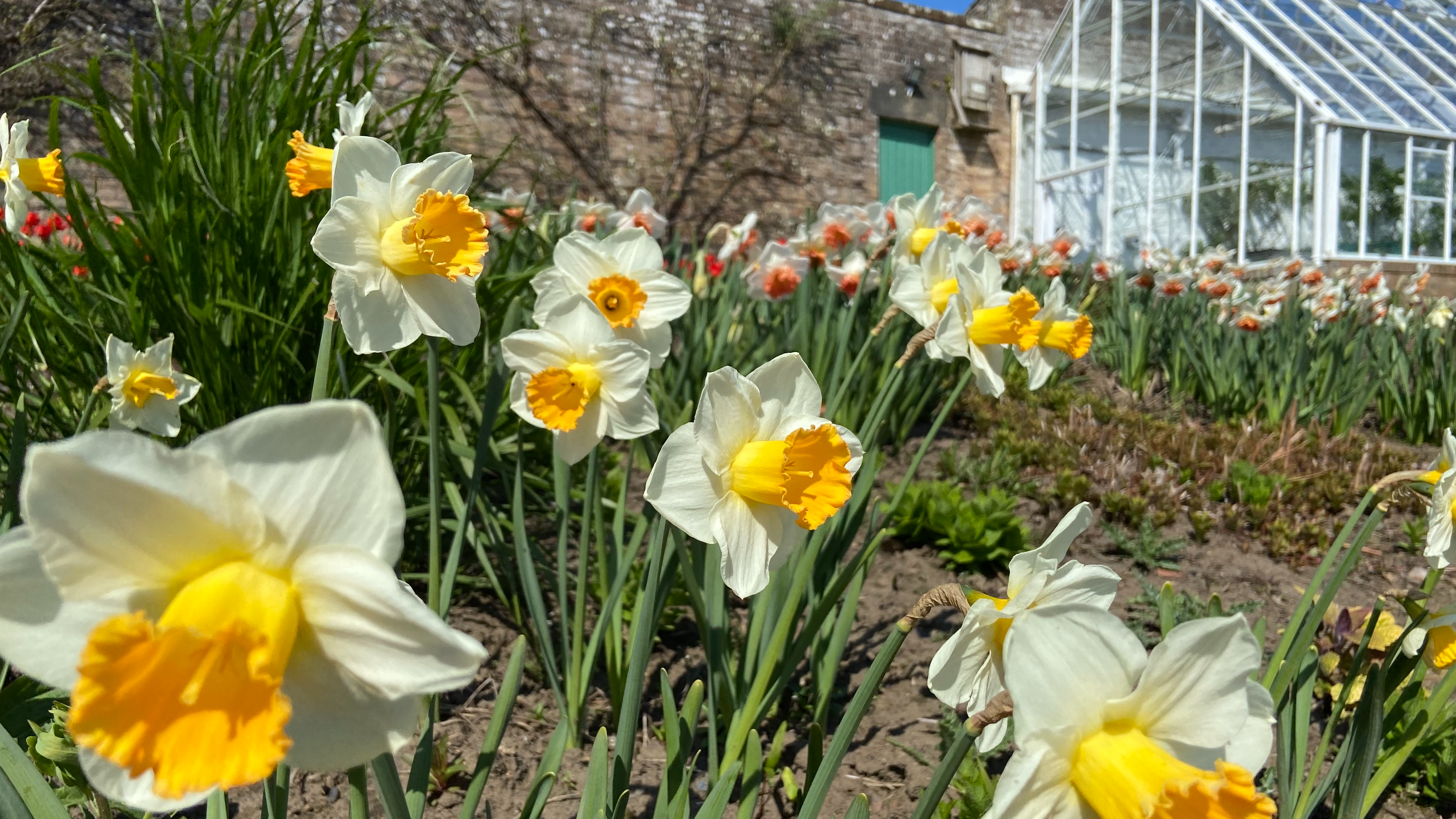Mother's Day Garden Party at Teasses Estate