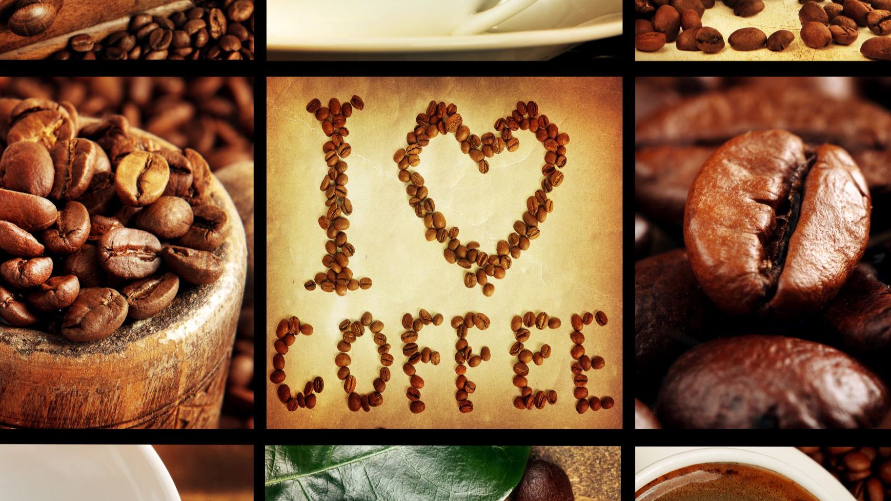 Meet the Roaster - Bryte Coffee