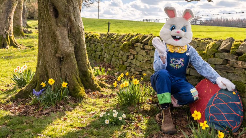 Easter Egg Hunt and Garden Party at Teasses Estate