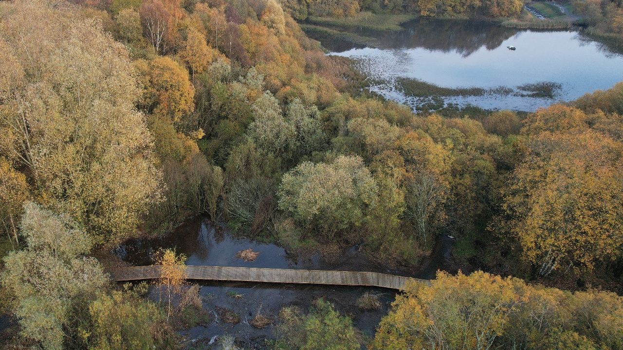 Wildlife Wander at Coul Den