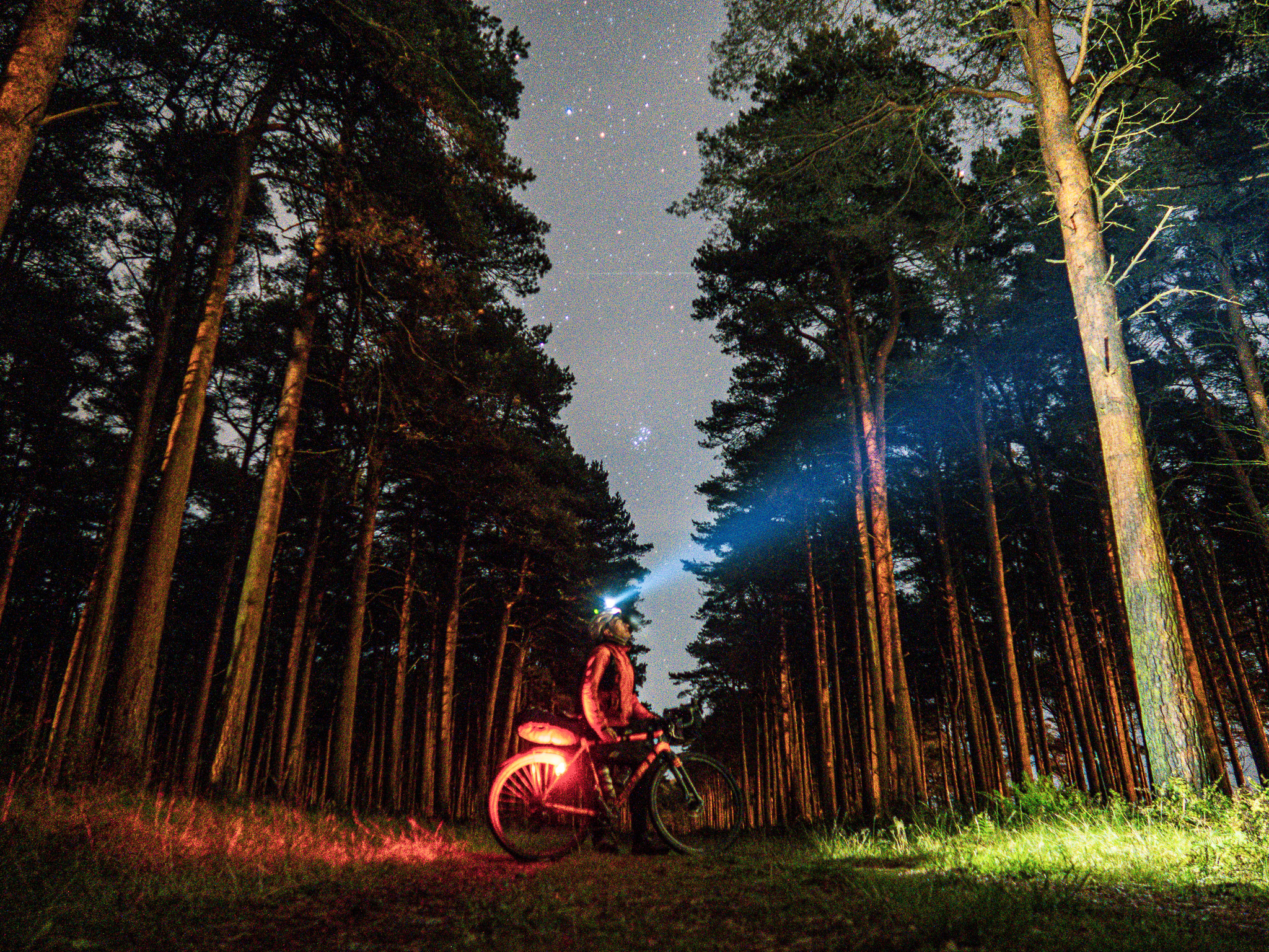 Bikepacking in Tentsmuir Forest at night