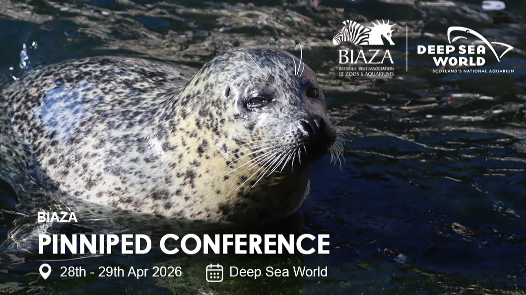 BIAZA Pinniped Conference 2026