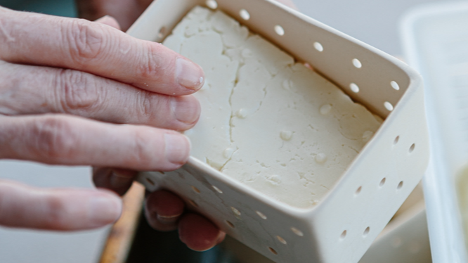 Feta, Halloumi, and Mascarpone Masterclass with Kristen Allan