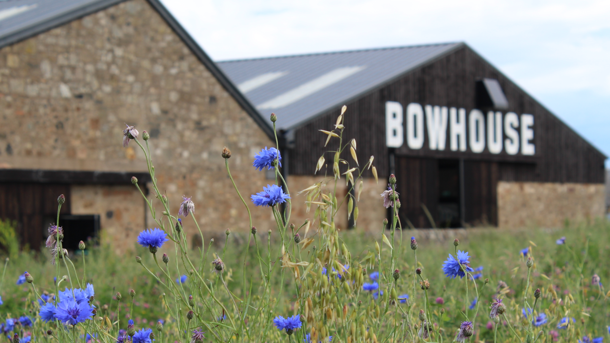 Yoghurt, Butter and Fresh Cheese workshop