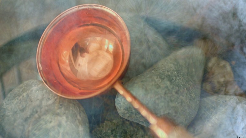 Merchant's House Garden