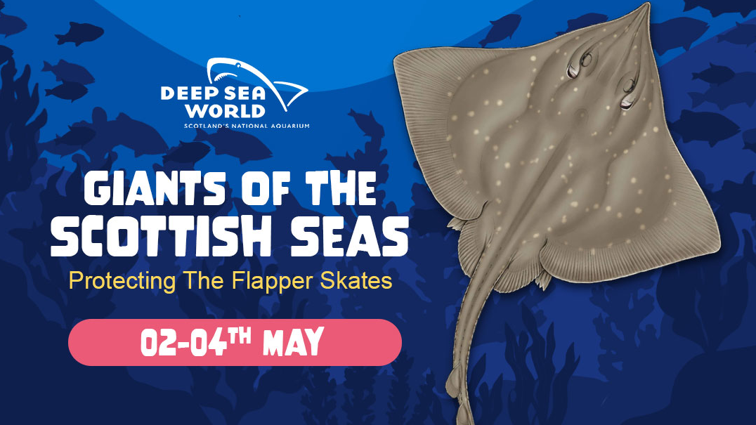 Giants Of The Scottish Seas