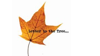 Letter to the Tree book launch and Tree Survey Showcase