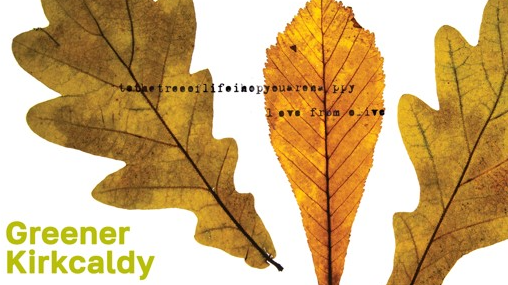 Letter to the Tree book launch and Tree Survey Showcase