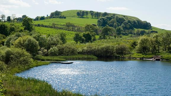 Explore Dalbeath Marsh